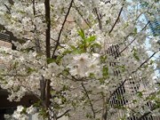 CIMG0021
