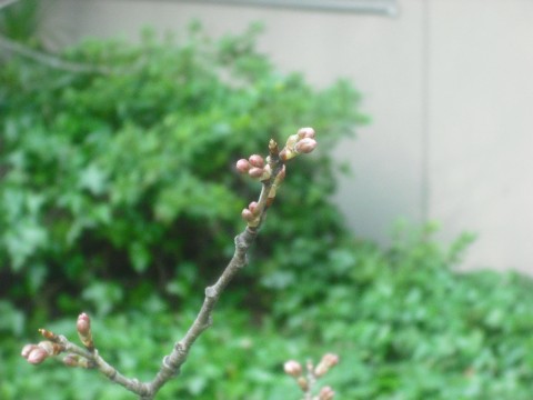 画像 001
