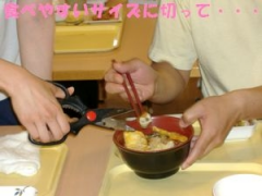 てんぷらうどん