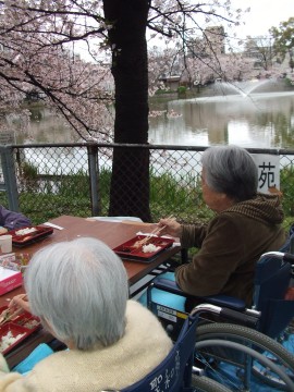 お花見