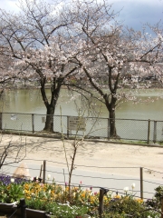 20100329公園