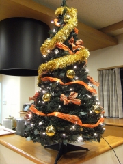 2010クリスマス02