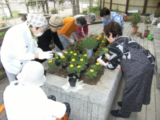 植え付け01